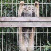 ヒメ日記 2025/10/08 13:09 投稿 山脇かずみ ローテンブルク