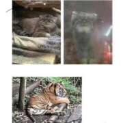 ヒメ日記 2025/10/20 11:08 投稿 山脇かずみ ローテンブルク