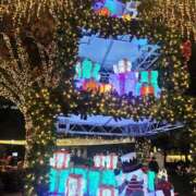 ヒメ日記 2025/12/22 10:51 投稿 山脇かずみ ローテンブルク