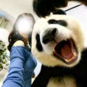 ヒメ日記 2025/12/24 13:30 投稿 山脇かずみ ローテンブルク