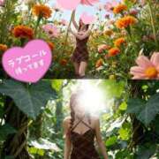 ヒメ日記 2026/03/24 10:09 投稿 山脇かずみ ローテンブルク