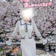 ヒメ日記 2026/03/31 16:55 投稿 山脇かずみ ローテンブルク