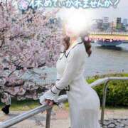 ヒメ日記 2026/04/06 21:56 投稿 山脇かずみ ローテンブルク