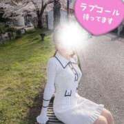 ヒメ日記 2026/04/12 11:33 投稿 山脇かずみ ローテンブルク