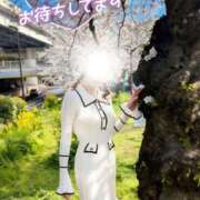 ヒメ日記 2026/04/24 22:36 投稿 山脇かずみ ローテンブルク