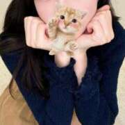 ヒメ日記 2025/06/21 21:02 投稿 このみ 今から乳首を犯しにいってもいいですか？大阪店