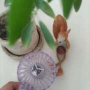 ヒメ日記 2025/05/21 09:22 投稿 永瀬 ことみ こあくまな熟女たち太田店（KOAKUMAグループ）