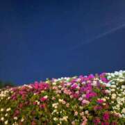 ヒメ日記 2025/04/30 20:03 投稿 赤葦　けい【清楚系ロリ巨乳】 Salon de Flawless（サロンドフローレス）