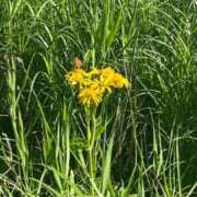 ヒメ日記 2025/10/11 11:30 投稿 赤葦　けい【清楚系ロリ巨乳】 Salon de Flawless（サロンドフローレス）