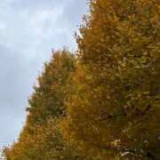 ヒメ日記 2025/12/03 15:30 投稿 赤葦　けい【清楚系ロリ巨乳】 Salon de Flawless（サロンドフローレス）