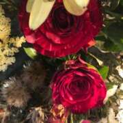 ヒメ日記 2026/04/05 22:12 投稿 しゅり カクテル(岡山)