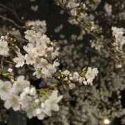 ヒメ日記 2025/04/08 12:15 投稿 りりか 大久保ハンドメイド