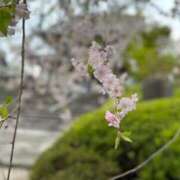 ヒメ日記 2025/04/10 20:30 投稿 りりか 大久保ハンドメイド