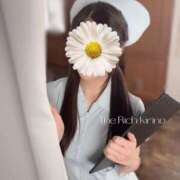 ヒメ日記 2025/05/09 07:44 投稿 Kirino THE RICH