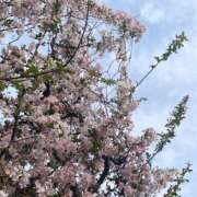 ヒメ日記 2025/05/10 23:05 投稿 もえか ぺろぺろベロベロ専科 ぺろんちょ