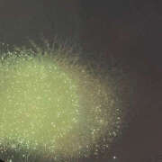 ヒメ日記 2025/10/01 11:15 投稿 もえか ぺろぺろベロベロ専科 ぺろんちょ