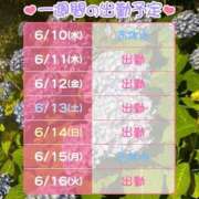 ヒメ日記 2026/06/10 01:25 投稿 もえか ぺろぺろベロベロ専科 ぺろんちょ