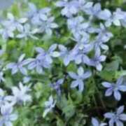 こはる 14時半 ○○○様 奥鉄オクテツ東京店（デリヘル市場）