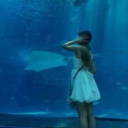 ヒメ日記 2026/02/11 08:21 投稿 ももな クラブ バレンタイン大阪