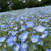 ヒメ日記 2025/05/13 21:15 投稿 やよい 横浜ミセスアロマ（ユメオト）