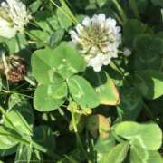 ヒメ日記 2025/06/09 20:56 投稿 やよい 横浜ミセスアロマ（ユメオト）