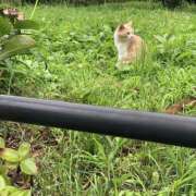 ヒメ日記 2025/10/10 20:17 投稿 やよい 横浜ミセスアロマ（ユメオト）