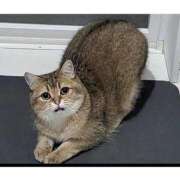 ヒメ日記 2025/05/28 12:44 投稿 あけみ 優しい奥様 札幌すすきの店