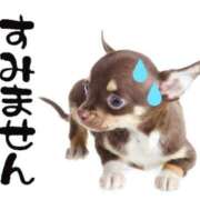 ヒメ日記 2025/07/05 13:44 投稿 あけみ 優しい奥様 札幌すすきの店