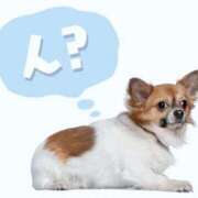 ヒメ日記 2025/07/14 20:34 投稿 あけみ 優しい奥様 札幌すすきの店