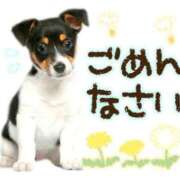 ヒメ日記 2025/09/12 19:44 投稿 あけみ 優しい奥様 札幌すすきの店