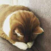 ヒメ日記 2025/09/24 20:14 投稿 あけみ 優しい奥様 札幌すすきの店