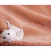 ヒメ日記 2025/10/02 21:44 投稿 あけみ 優しい奥様 札幌すすきの店