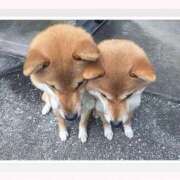 ヒメ日記 2025/10/04 16:04 投稿 あけみ 優しい奥様 札幌すすきの店