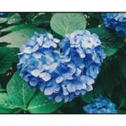 ヒメ日記 2026/07/10 11:04 投稿 あけみ 優しい奥様 札幌すすきの店