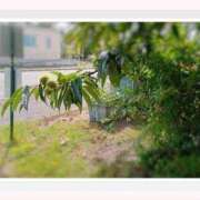ヒメ日記 2026/09/18 15:44 投稿 あけみ 優しい奥様 札幌すすきの店