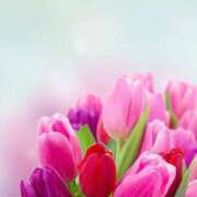 ヒメ日記 2025/04/11 13:44 投稿 なお【業界未経験】 優しい奥様 札幌すすきの店