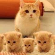 ヒメ日記 2025/04/15 19:54 投稿 なお【業界未経験】 優しい奥様 札幌すすきの店