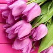 ヒメ日記 2025/04/20 11:17 投稿 なお【業界未経験】 優しい奥様 札幌すすきの店