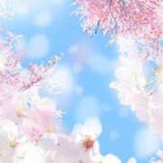 ヒメ日記 2025/04/24 10:04 投稿 なお【業界未経験】 優しい奥様 札幌すすきの店