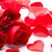 ヒメ日記 2025/05/15 23:37 投稿 なお【業界未経験】 優しい奥様 札幌すすきの店