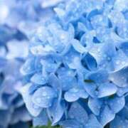 ヒメ日記 2025/05/16 17:24 投稿 なお【業界未経験】 優しい奥様 札幌すすきの店