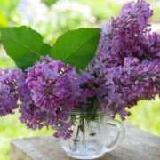 ヒメ日記 2025/05/18 20:44 投稿 なお【業界未経験】 優しい奥様 札幌すすきの店