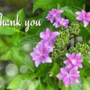 ヒメ日記 2025/05/22 23:04 投稿 なお【業界未経験】 優しい奥様 札幌すすきの店