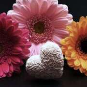 ヒメ日記 2025/05/31 15:44 投稿 なお【業界未経験】 優しい奥様 札幌すすきの店