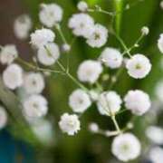 ヒメ日記 2025/06/07 14:24 投稿 なお【業界未経験】 優しい奥様 札幌すすきの店