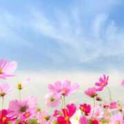 ヒメ日記 2025/09/13 18:24 投稿 なお【業界未経験】 優しい奥様 札幌すすきの店