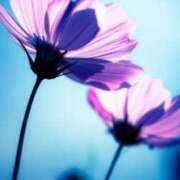 ヒメ日記 2025/09/14 17:05 投稿 なお【業界未経験】 優しい奥様 札幌すすきの店