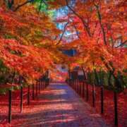 ヒメ日記 2025/11/02 20:54 投稿 なお【業界未経験】 優しい奥様 札幌すすきの店