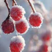 ヒメ日記 2026/01/11 20:14 投稿 なお【業界未経験】 優しい奥様 札幌すすきの店