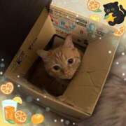 ヒメ日記 2025/04/21 07:23 投稿 新人ひかる3/1入店 優しい奥様 札幌すすきの店